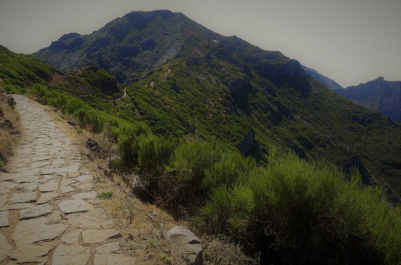 Auf dem Weg zum Gipfel von Patrick Riemens