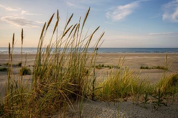 Strand van Ameland (4) van Bo Scheeringa Photography