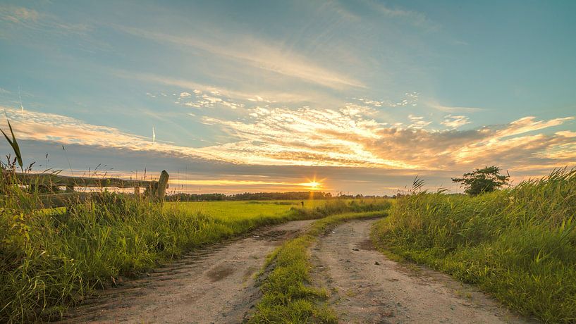 Landelijk Hek 03 Leekstermeergebied van R Smallenbroek