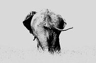 De olifant blaast het verhaal uit van Sharing Wildlife thumbnail
