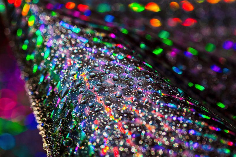 Folienkunst von Rob Boon