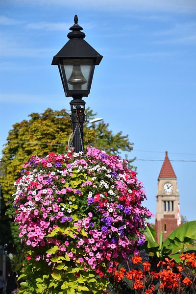 A city street lamp in summer by Claude Laprise