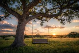 Schaukel bei Sonnenuntergang Landschaft von Imperial Art House