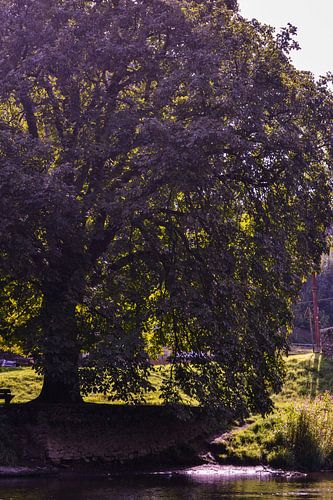 grootheid / Big / grand