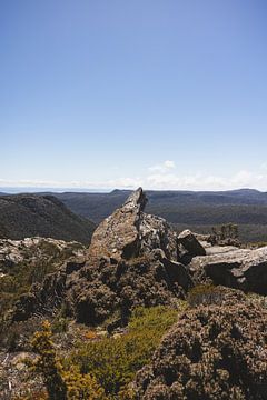 Mount Field: Juweel van Tasmanië's Wildernis van Ken Tempelers