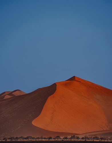 Duin in Sossusvlei in Namibië, Afrika