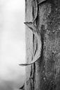Hitte by Paul Glastra Photography thumbnail