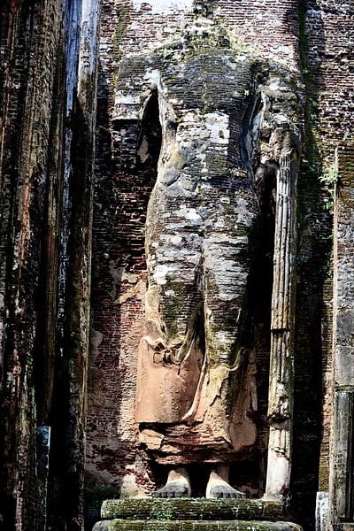 Sacred ruins of Lankatilaka by Frank Photos