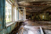 Fresh air from an abandoned classroom by Truus Nijland thumbnail
