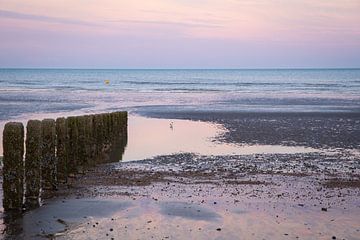 Roze zonsondergang op het strand van Pevensey Bay van Angeline Dobber