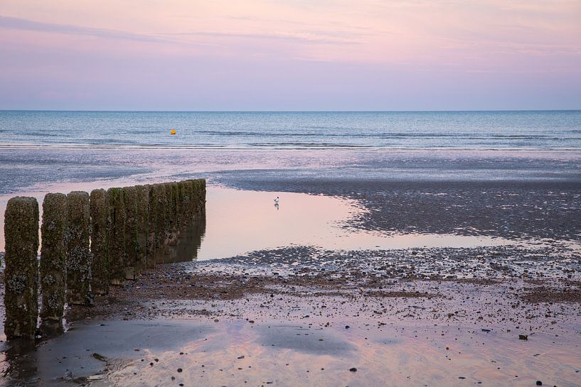 Pink sunset on the beach by Angeline Dobber