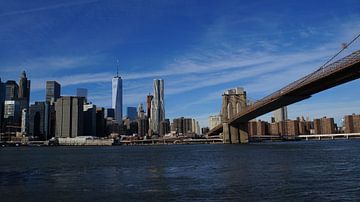 Skyline van New York City vanuit Brooklyn Bridge Park van adventure-photos