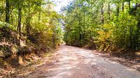Country Road