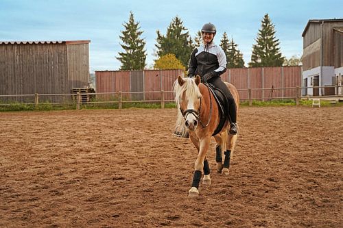 Training met de lichtbruine Haflinger met beige manen