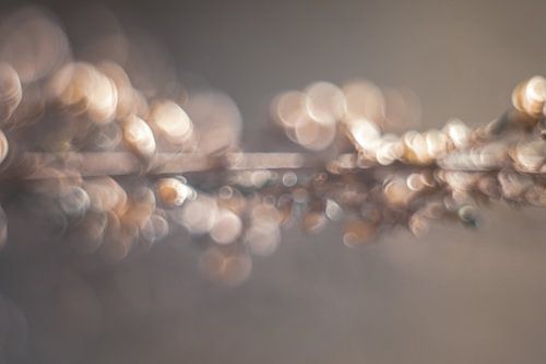 Kreativ mit verblasstem Heidekraut