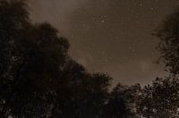 Stars