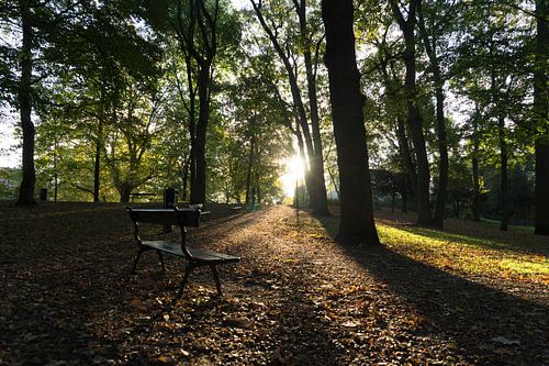 Just enjoy the view!