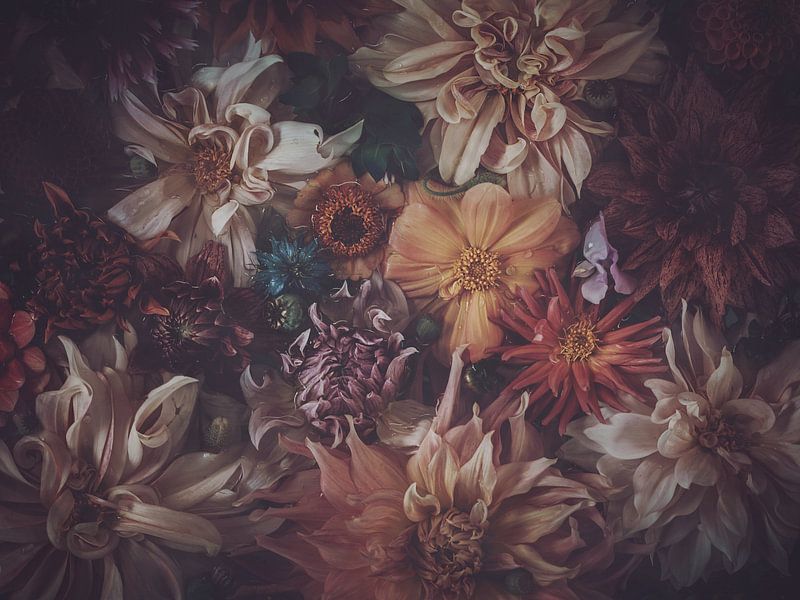 Remember by Marina de Wit