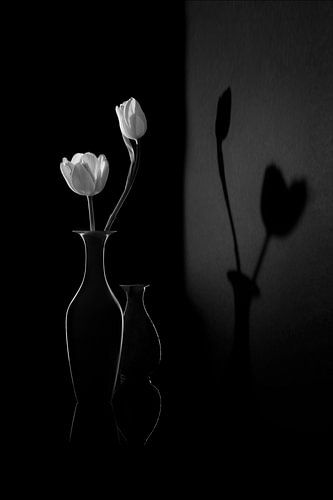 The Shadow of Spring