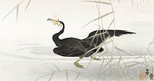 Cormoran japonais attrapant des poissons, Ohara Koson