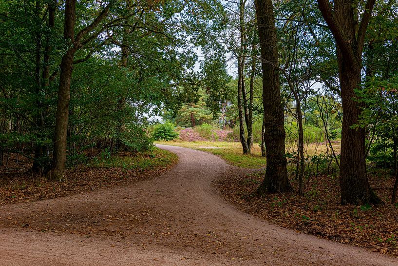 Westerheide by Peter Veerman