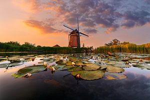 Point de vue Moulin Rietveld Hazerswoude-rijndijk