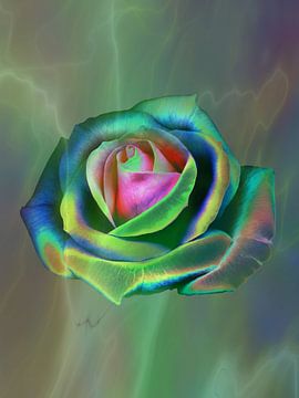Pop Art Rose in Green by Claudia Gründler