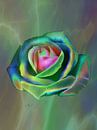 Pop Art Rose in het groen van Claudia Gründler thumbnail