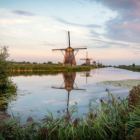 Molen tussen het riet van Maikel Brands