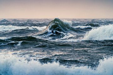 Die Welle von Stephan Zaun