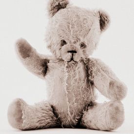 Vintage teddybeer van Tesstbeeld Fotografie