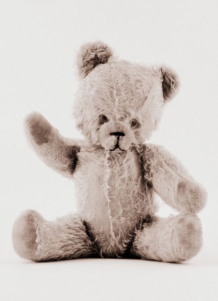 Vintage teddybeer van Tesstbeeld Fotografie