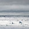 Glace de mer autour du Svalbard sur Ron van der Stappen
