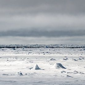 Zeeijs rond Spitsbergen van Ron van der Stappen
