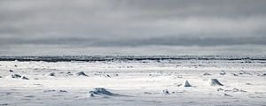 Glace de mer autour du Svalbard