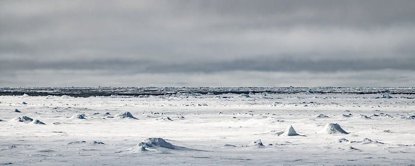 Glace de mer autour du Svalbard par Ron van der Stappen