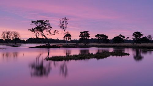 Strabrechtse Heide 288