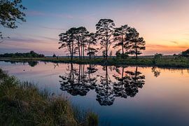 Reflection by Marco Lok