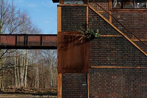 Zeche Zollverein - Wachstum