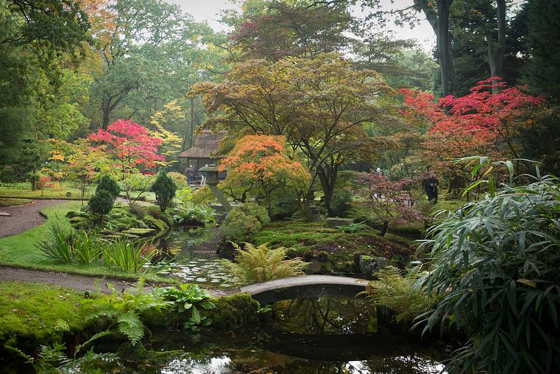 Japanse Tuin  von Monique Hassink