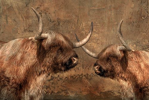 Schotse Hooglanders in gesprek. Dieren. Digital Art