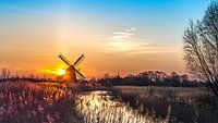 Moulin
