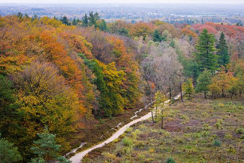 Vue panoramique de la crête de la colline d'Utrecht en automne sur Sjaak den Breeje