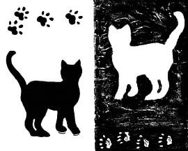 Cats by Cornel Krämer