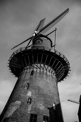 Windmolen Dordrecht
