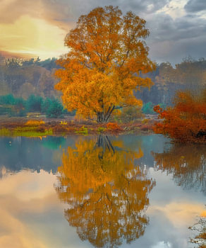 Der Herbst spiegelt sich wider