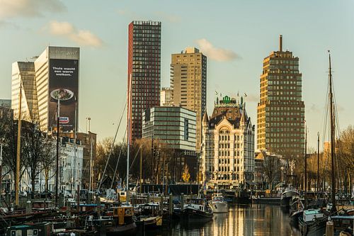 Oude haven Rotterdam