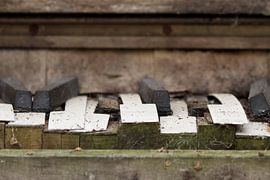 Piano 2 by Wybrich Warns