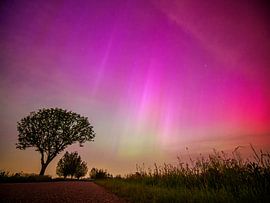 Noorderlicht in Nederland (Geerweg Bleskensgraaf) van Laurens de Waard