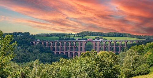 Uitzicht op de Göltzschtal brug in Vogtland